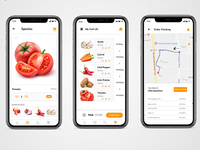 e-Grocery store ecommerce app grocery app