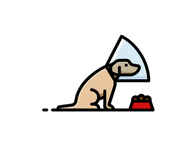 Dog In Cone cone dog food pet puppy sad