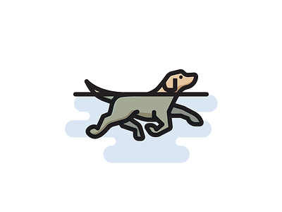 Swimming Dog canine dog k 9 pet swim