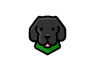 Sammy dog pet