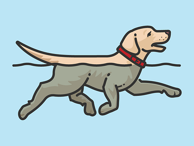 Swimming Labrador Retriever canine dog dog icon dog illustration labrador retriever swim swimming dog