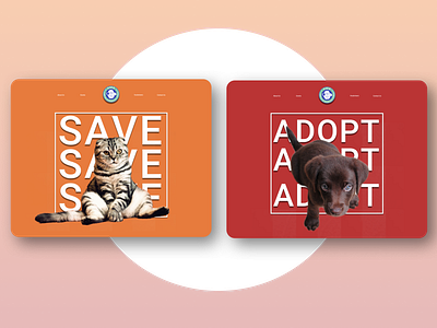 Animal Shelter - SAVE branding design graphic sketch ui web design