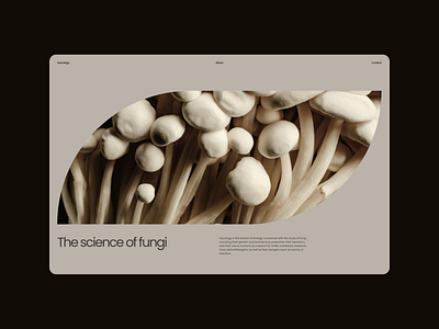 Mycology - Design Exploration 01 aesthetic beige branding brown concept delicate elegant exploration fungi graphic design layout minimal minimalist modern mushrooms soft typography ui web web design