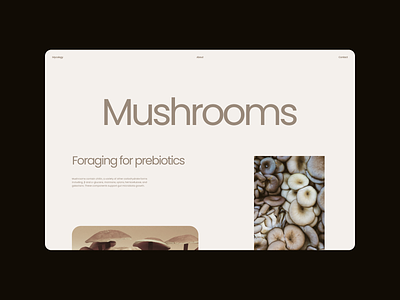 Mycology - Design Exploration 03 aesthetic beige branding concept delicate design elegant exploration graphic design layout light minimal modern mushrooms rounded soft typography ui web web design