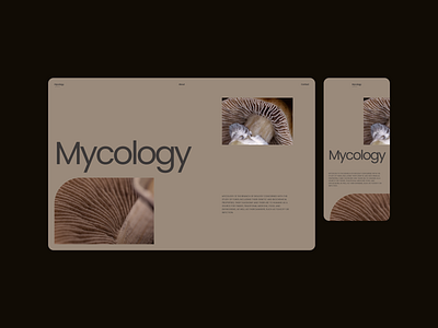Mycology - Design Exploration 05 aesthetic beige branding brown concept delicate design elegant exploration graphic design layout minimal modern mushrooms photography rounded soft typography ui web