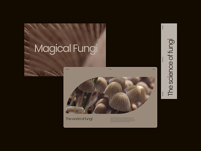 Mycology - Design Exploration 06 aesthetic beige branding brown concept delicate design elegant exploration graphic design layout minimal modern mushrooms photography rounded corners soft typography ui web