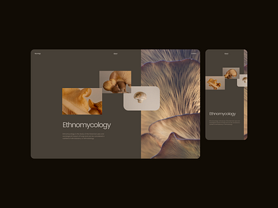 Mycology - Design Exploration 07 aesthetic beige branding brown concept delicate design elegant experiment exploration fungi layout minimal modern mushrooms soft typography ui vegan web