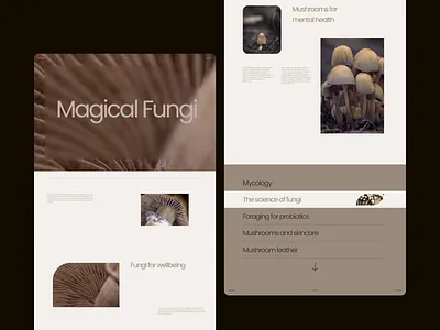 Mycology - Design Exploration 08 aesthetic branding clean concept design elegant experimental exploration layout minimal mushrooms photography typography ui web web design white space