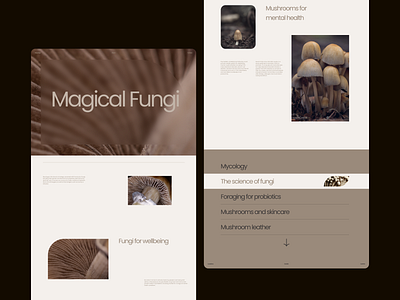 Mycology - Design Exploration 08