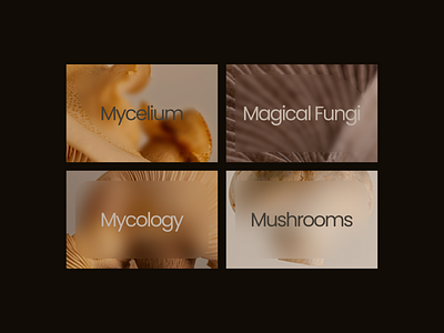 Mycology - Design Exploration 09 aesthetic blur branding concept delicate design elegant exploration feminine layout minimal mushrooms overlay photography rounded skincare soft texture vegan web