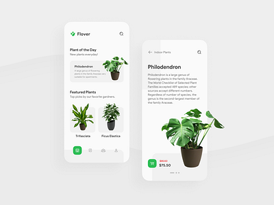 Gardening Store App UI app application design experience flat fresh green interface minimal mobile ui user ux