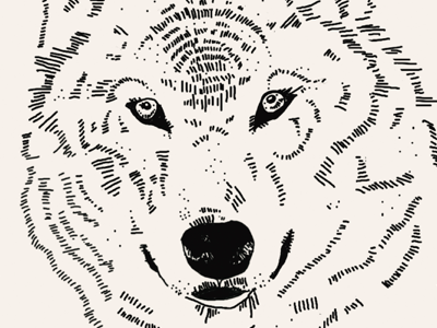 Wolf illustration pen wolf