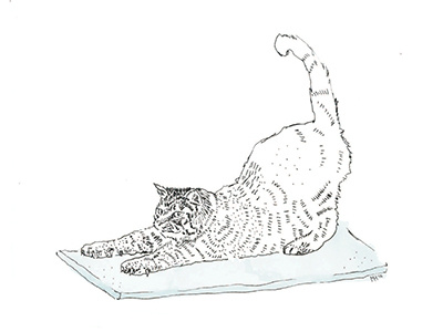 Namaste cat illustration ink yoga