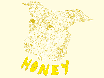 Honey dog illustration typography