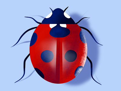 Ladybug Illustration design digital graphic illustration ladybug procreate