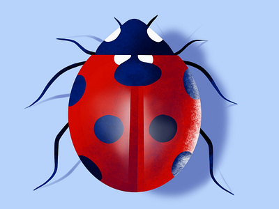 Ladybug Illustration