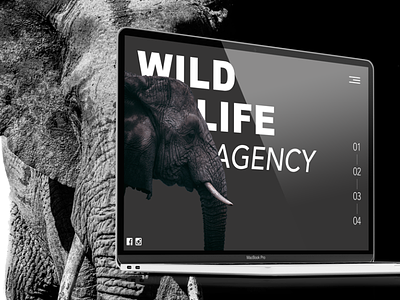WildLife denmark design fun grafisk design odense webdesign