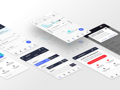 Wireframes — Festival App Concept