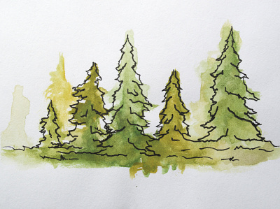 Evergreen Watercolor evergreen illustration trees watercolor