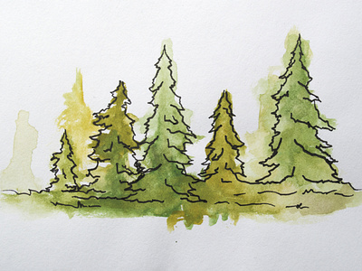 Evergreen Watercolor