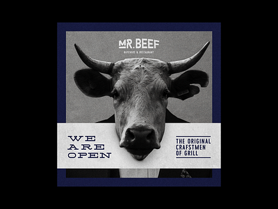 COW / Mr. Beef