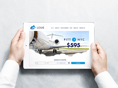 Fly Louie - Website Design & Ads travel ui web design website