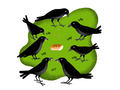 crow animals illustrated branding children art design illustration ui
