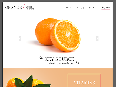 Orange landing page clean elegant fruit funny landing minimal orange page product web website