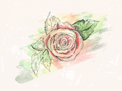 Messy Floral Drawing art background design drawing floral floral art graphic art illustration messy pink rose spring