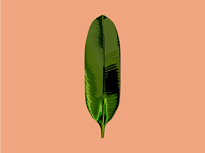 Botanical Illustration 2 botanical foliage illustration leaf palm tropical