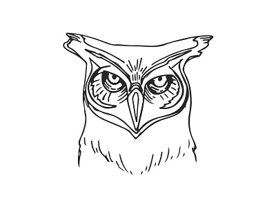 Wise One Owl beer hops label line art logo moon owl packaging sketch wise