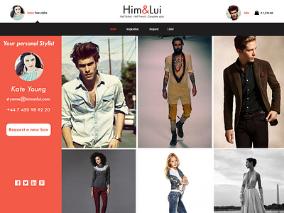 Himandlui branding design flat ui ux web website