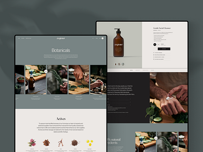 Jungkraut ecommerce men natural skincare typography ui ux vegan web design website