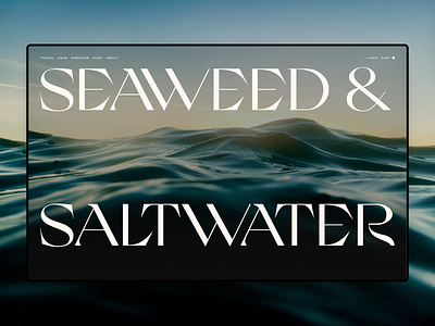 Seaweed & Saltwater coast coastal ecommerce hotel ireland nautical typography ui ux web design website
