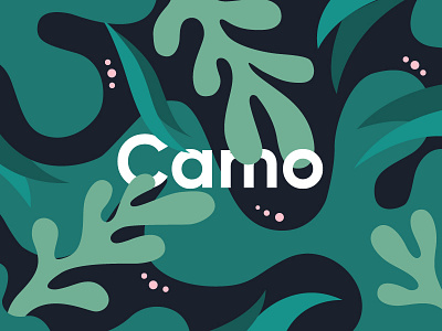 Camo