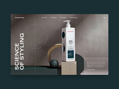 Anatomy Concept concept hair hair salon product science styling ux uxui web design website