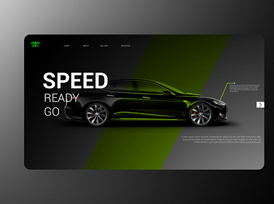 CAR LANDING PAGE design flat illustration illustrator landing page ui ux vector web website