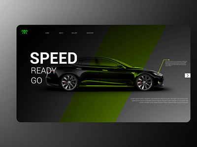 CAR LANDING PAGE