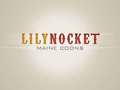 Lilynocket logo concept identity logo logo concept
