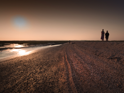 Stroll : Shellness beach dusk shellness shells walkers