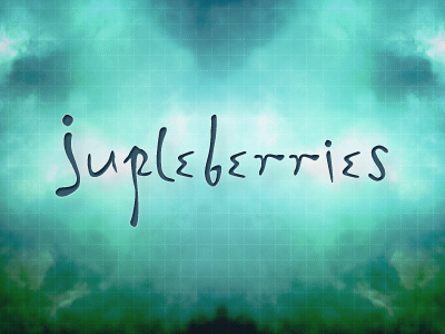 Jupleberries branding branding logo