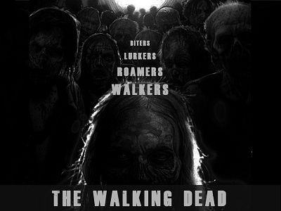 The Walking Dead Poster