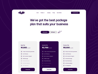 Pricing Plan Page