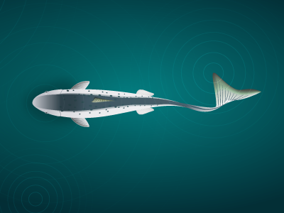swimming salmon ai design fish illustration salmon