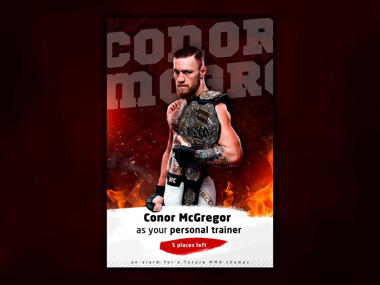 Mixed Martial Art Sport 01 Poster A3 Conor McGregor Artes Marciales Mixtas MMA 