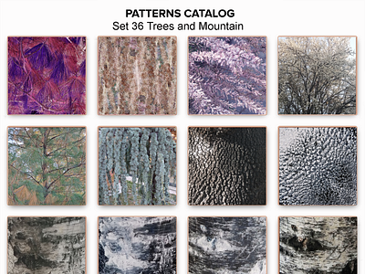 Patterns Catalog Set 36 Trees and Mountain amazing beautiful branches gorgeous leaves mountain nature patterns catalog photography set 36 trees