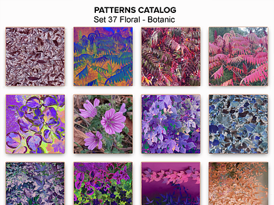 Patterns Catalog Set 37 Floral-Botanic amazing beautiful botanic bouquet branches cool creative flowers garden gorgeous great leaves painting patterns catalog photography set 37 tree