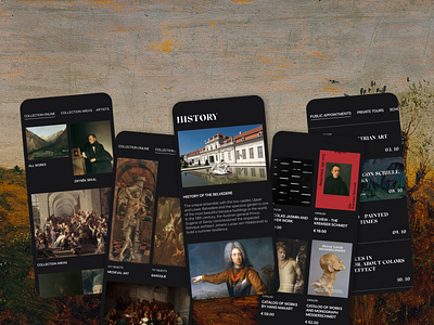 Belvedere Museum app design desktop minimal museum ui ux web webdesign website