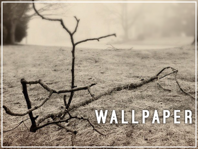 Wallpaper 01 fog grass iphone photo stick stock tree vintage wallpaper yard