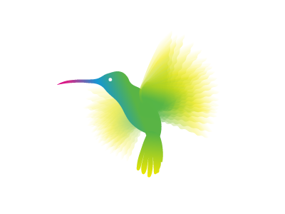 Colibri bird colibri flying motion